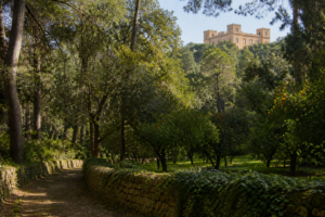 Buskett Gardens: Malta’s Hidden Woodland Below Verdala Palace